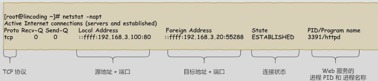 image-20231205092858858
