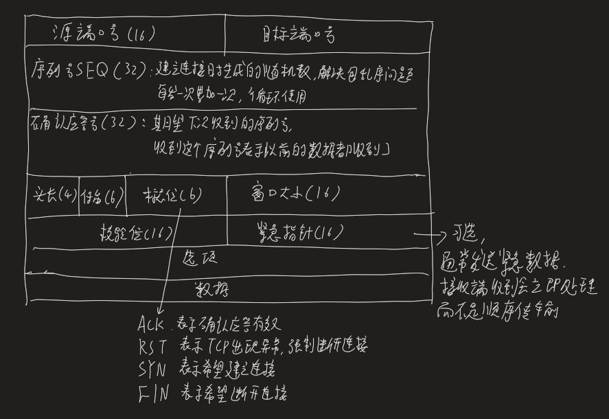 image-20240219173013314
